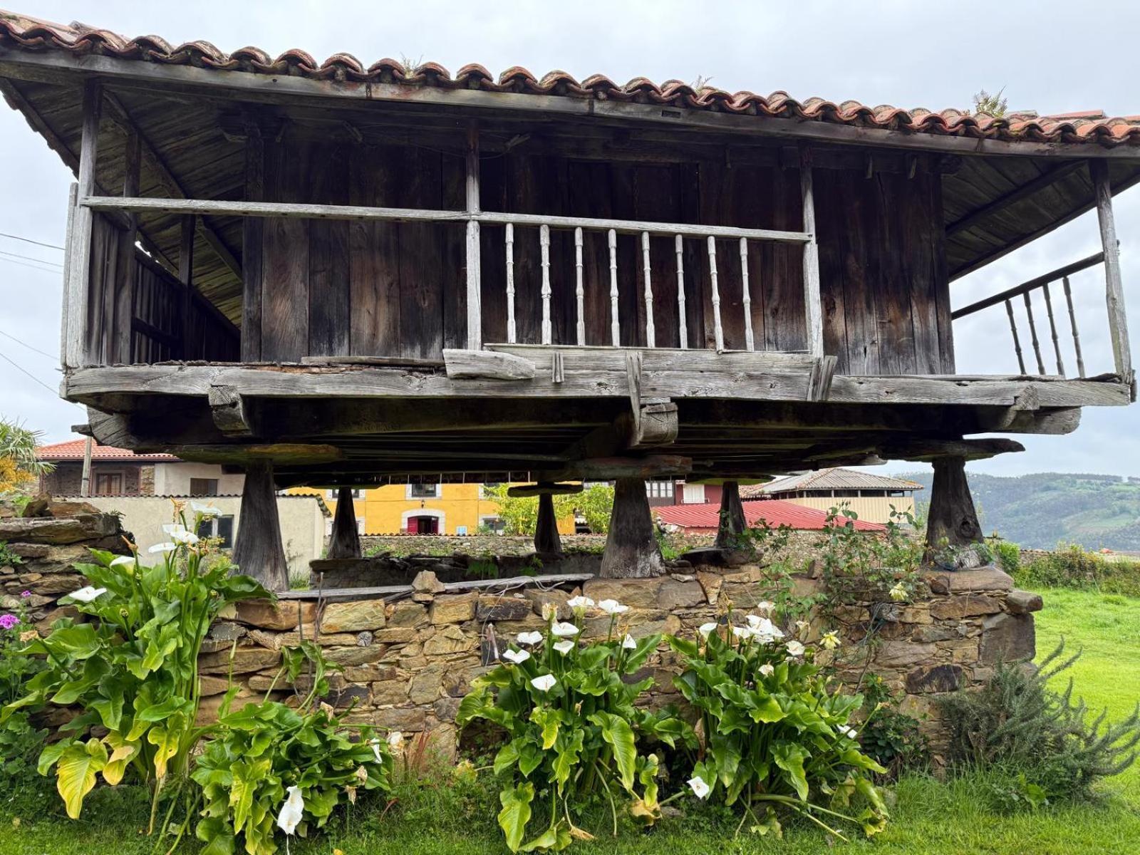 La Casona De Faedo Pension Ξενοδοχείο Εξωτερικό φωτογραφία
