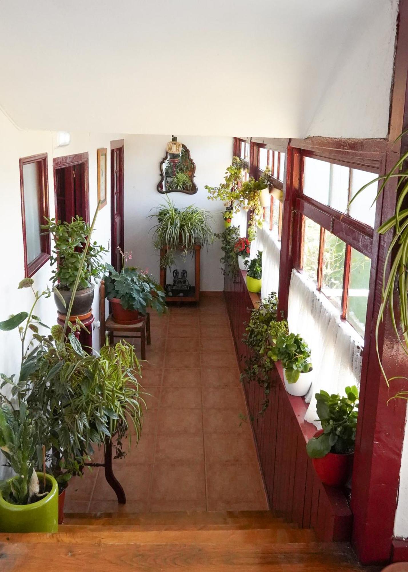 La Casona De Faedo Pension Ξενοδοχείο Εξωτερικό φωτογραφία