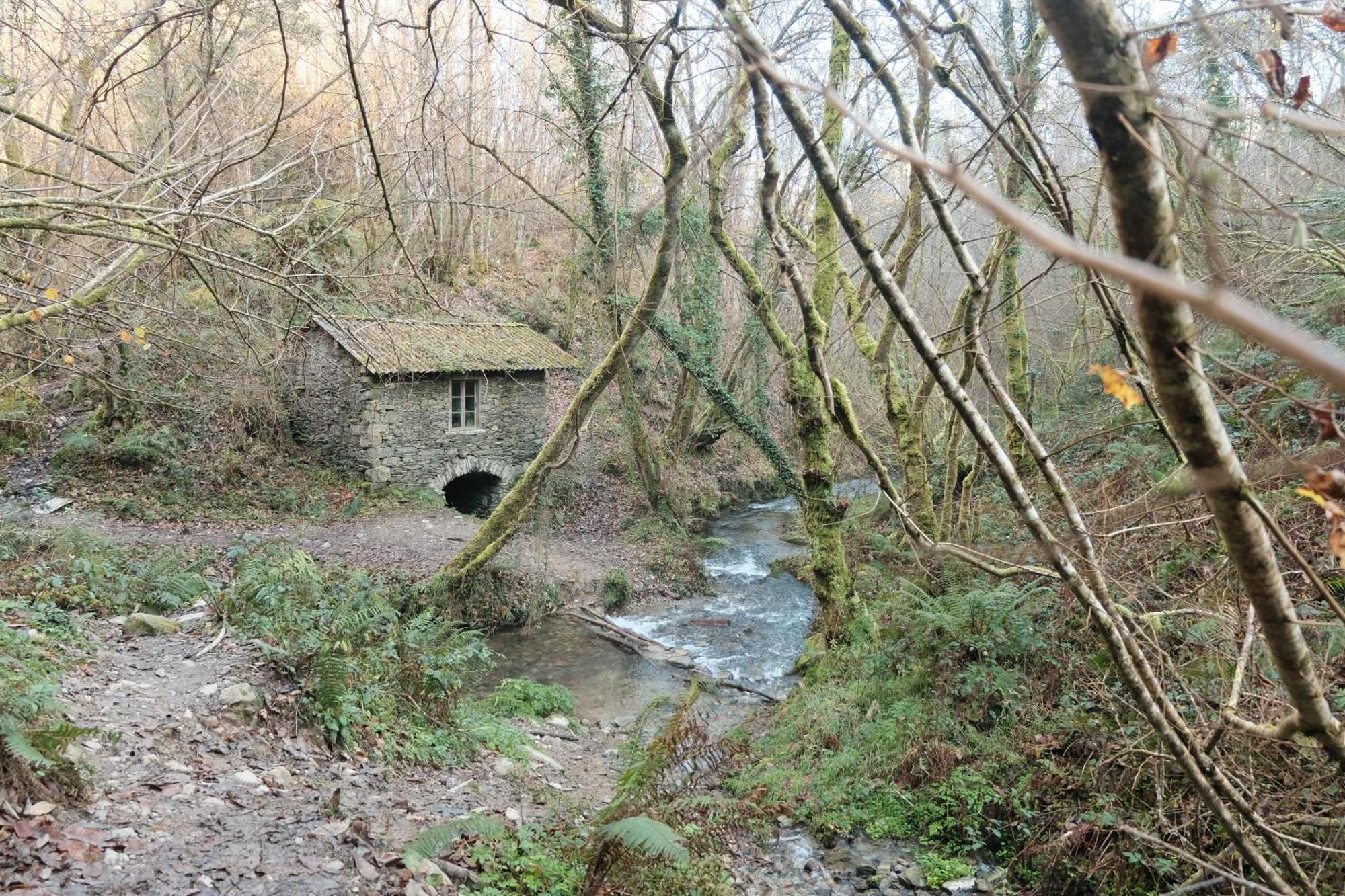 La Casona De Faedo Pension Ξενοδοχείο Εξωτερικό φωτογραφία