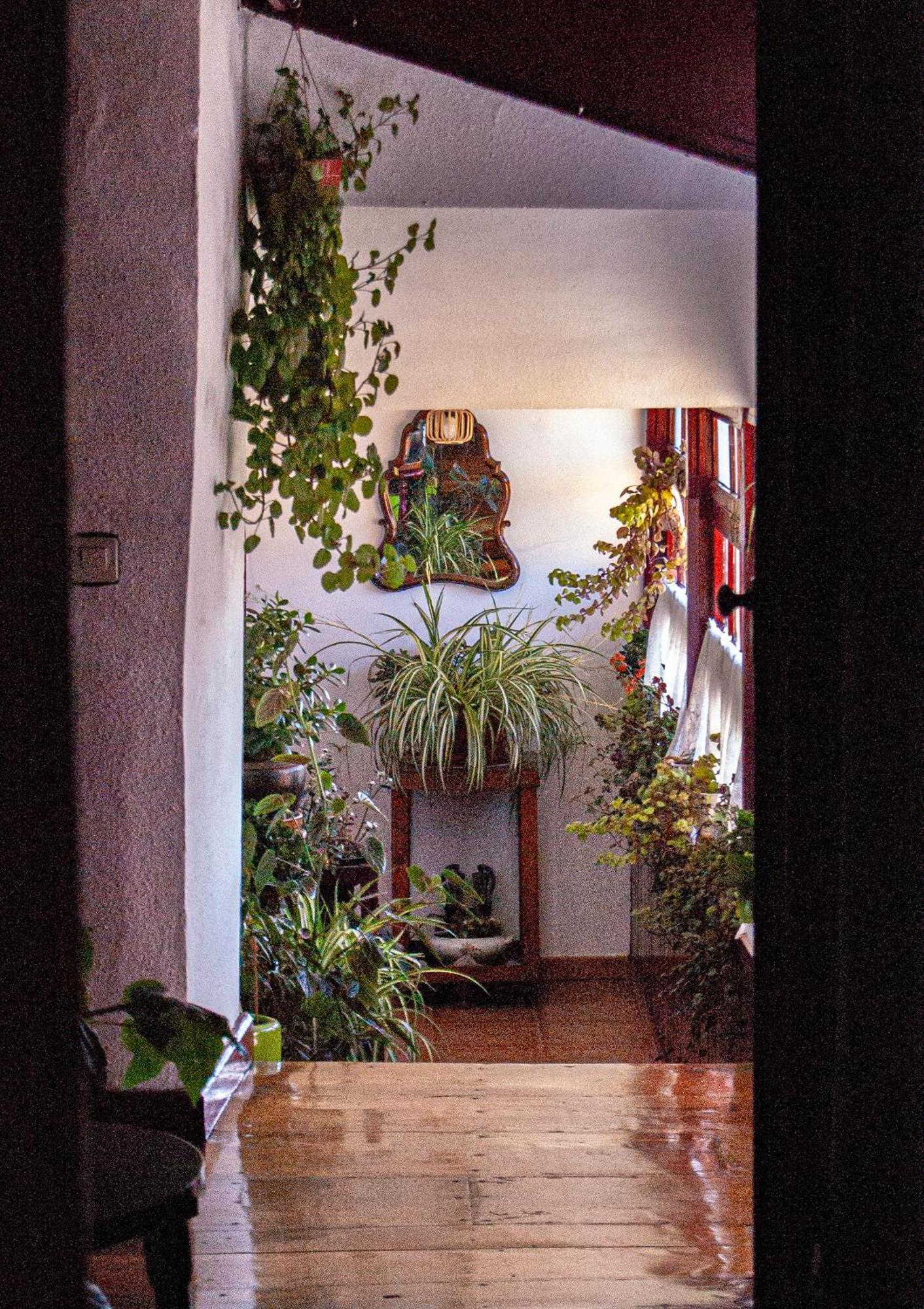 La Casona De Faedo Pension Ξενοδοχείο Εξωτερικό φωτογραφία